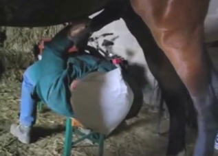 Guy is interested in CHUGGING horse piss today