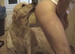 Dog is a fucking king of oral bestiality sex
