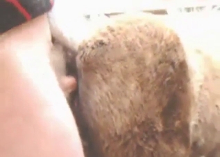 Dude is going to fuck a slutty beast from behind