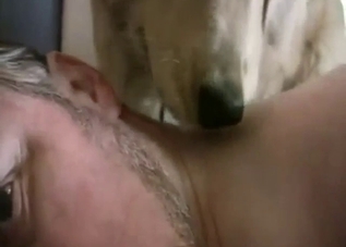 Foreplay in zoo with a guy's face licked by dog