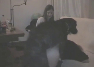 Wife watches her friend get fucked by dog