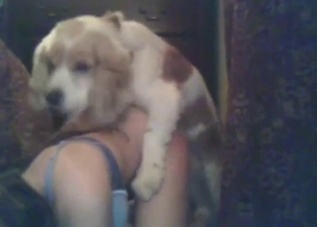 Geeky brunette in glasses rammed by a sexy dog