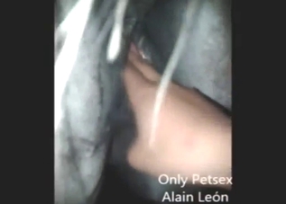 Dude emerges as a serial gapist in a kinky video