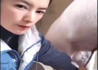 Chinese cutie sucks off the luckiest pig out there