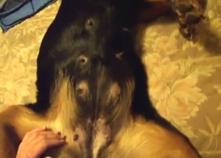 Female beast takes his meaty penis in POV