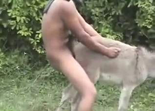 Slutty donkey gets drilled deeper than ever