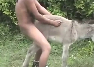 Slutty donkey gets drilled deeper than ever