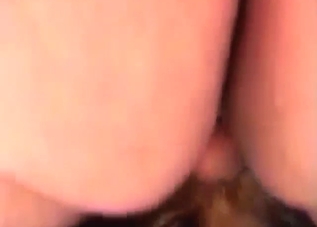Slutty Rotty gets that asshole fucked silly