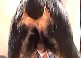 Slutty Rotty gets that asshole fucked silly