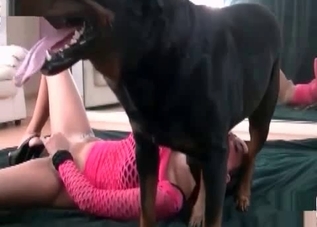 Amateur bestial banging with a big-dicked doggo