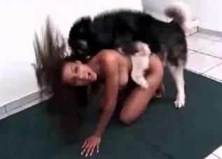 Hung beast destroying this black hottie's pussy