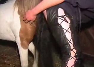 Farm bestiality banging recorded in HD