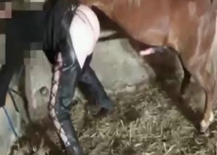 Horse cock destroying a submissive zoophile chick