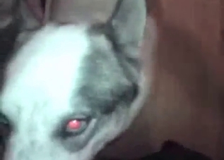 Bestiality banging has never been this hot