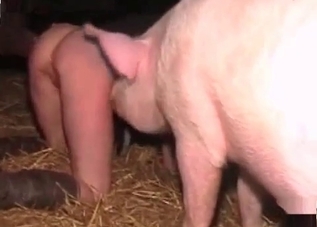 Naughty babe gets it on with a pretty pig
