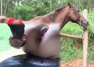 Horse cum filling up that tight human pussy